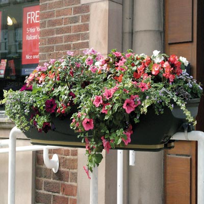FullBloom Self-Watering Rail-Mounted Planters - 1